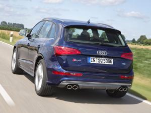 Audi SQ5 TDI 2013 года  (WW)